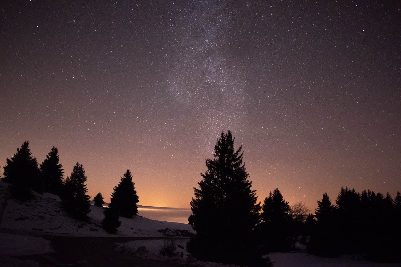 silhouette-of-trees-under-starry-night-3801516